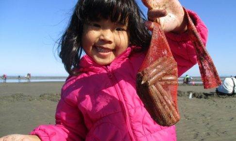 行橋の海岸でマテ貝掘りを楽しむ子ども