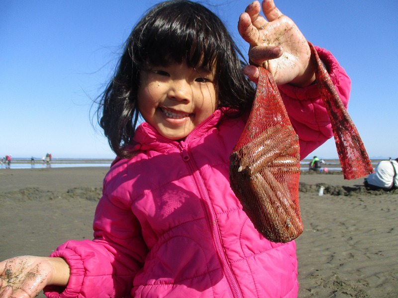 行橋の海岸でマテ貝掘りを楽しむ子ども